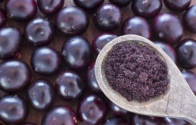 jagody acai